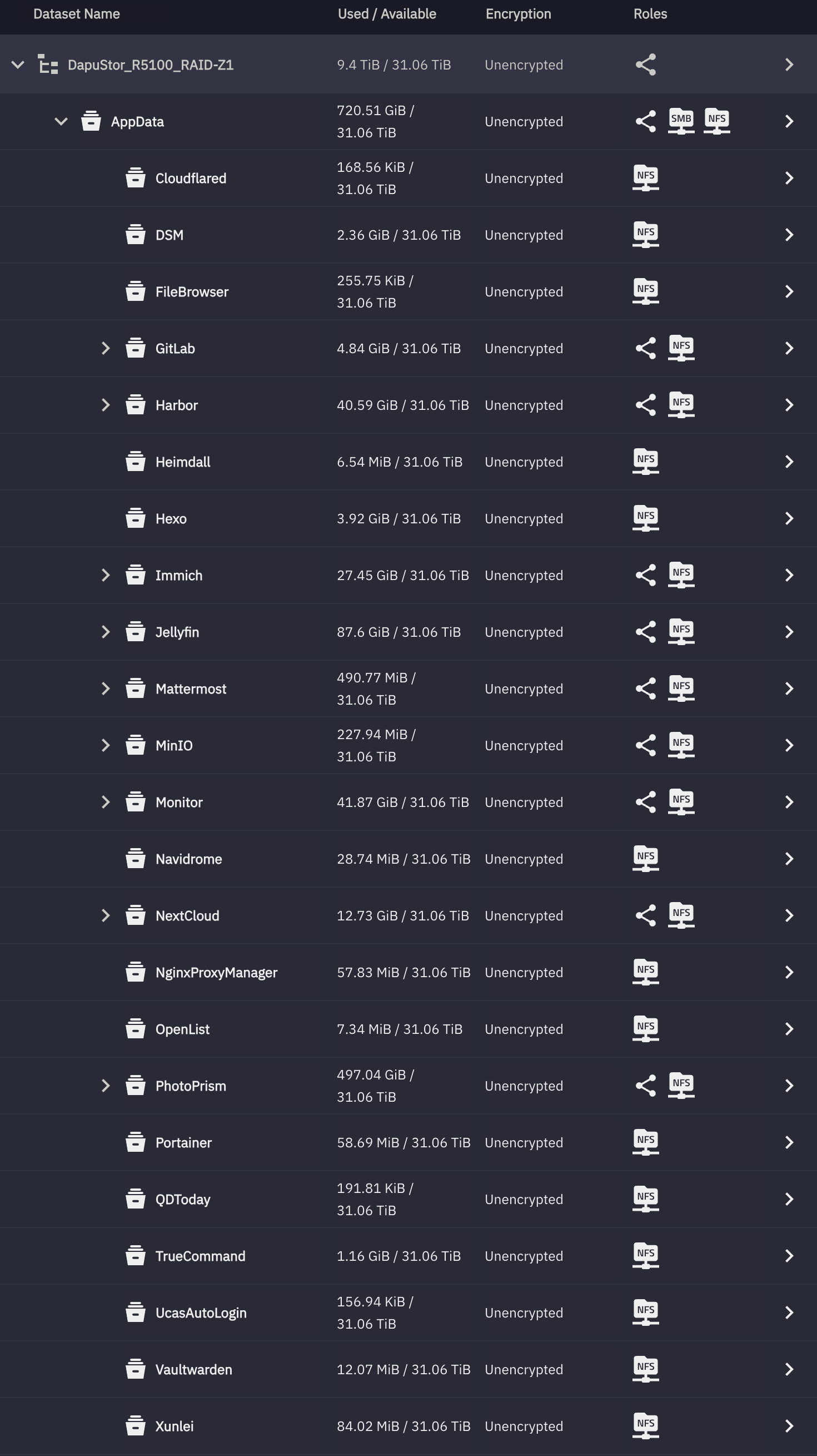 图 2. 我的 AppData 数据集存储了所有容器的运行时数据，而且每个容器有自己的专属 ZFS dataset，这允许我对某个容器的存储状态进行精细化管理。