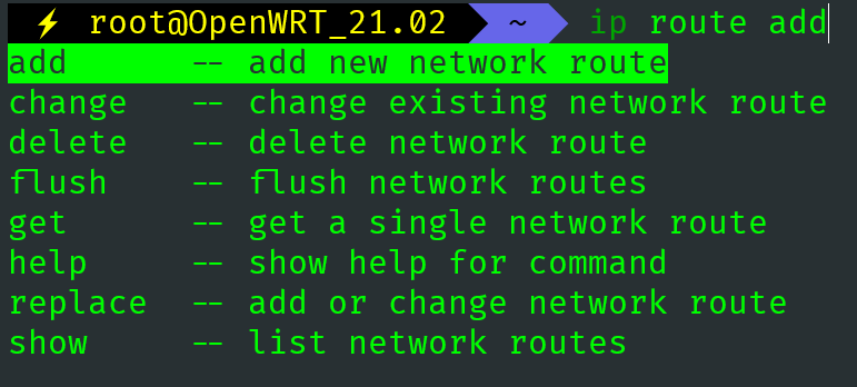 图 4. ip route 的可选动作。