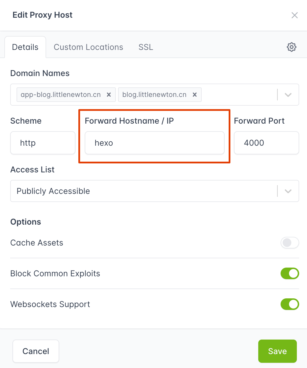 图 2. 在 NginxProxyManager 里，直接使用容器名进行记录添加。