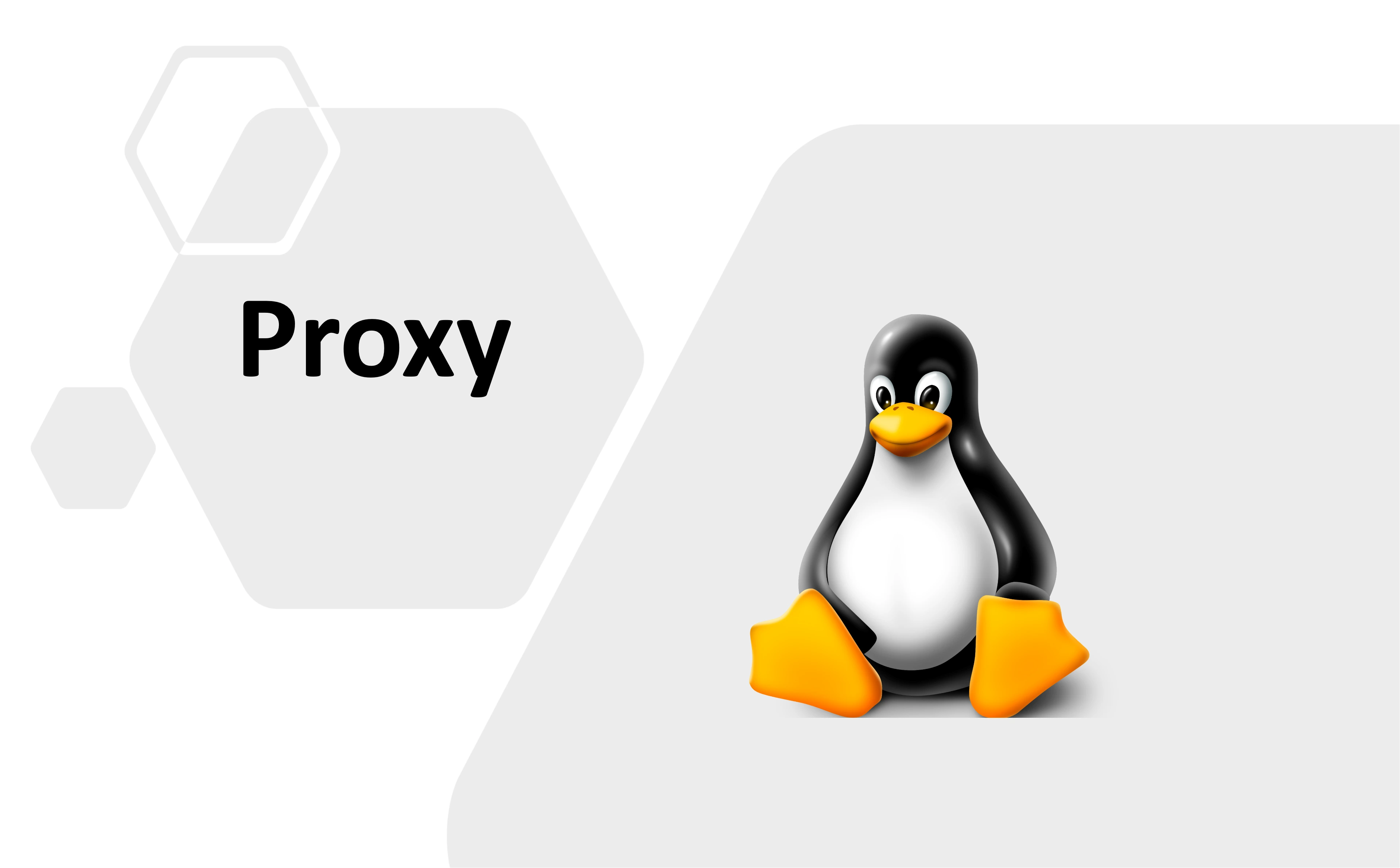 Linux 四大透明代理技术解析