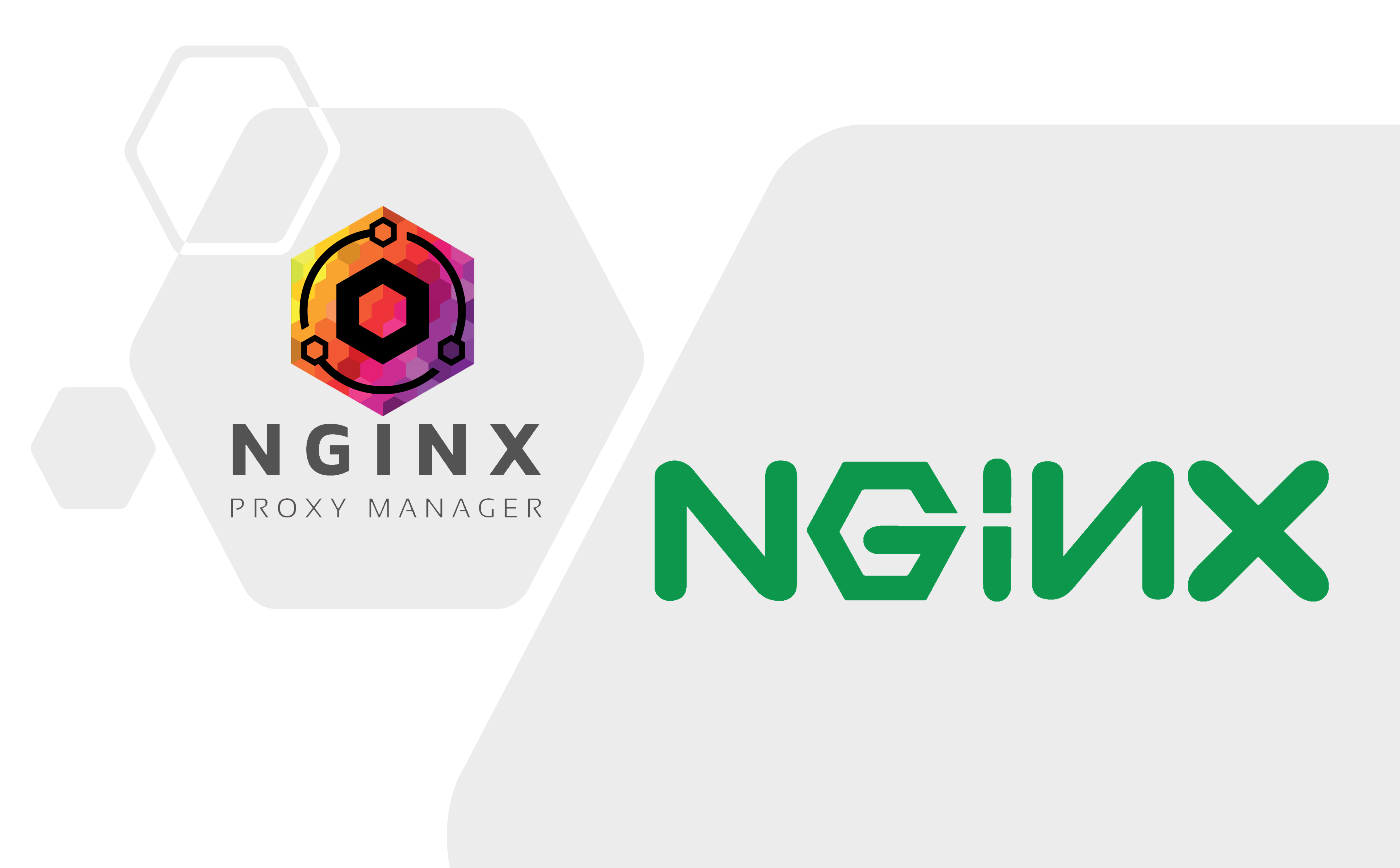 反向代理：从 NginxProxyManager 到 Nginx