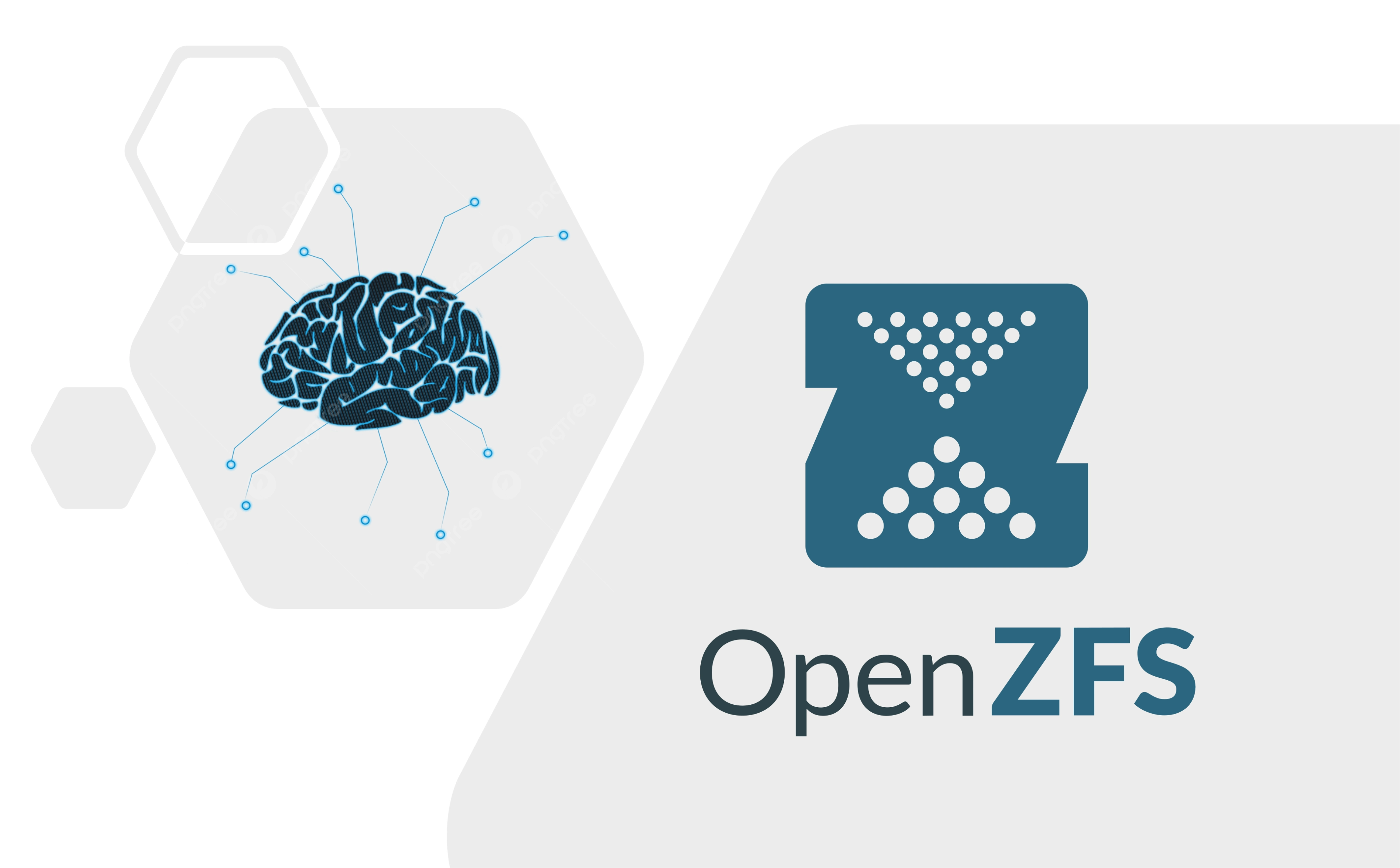 ZFS NVMe 全闪存储性能优化